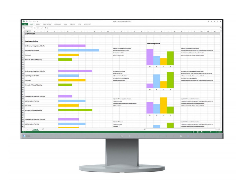 Eizo FlexScan EV2450 – Symbolbild